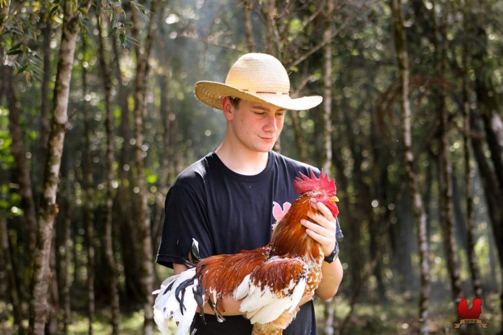 Luis Enrique Dias Wisniewski com seu galo Músico Brasileiro, uma de suas aves ornamentais no Rancho LW. Foto Divulgação