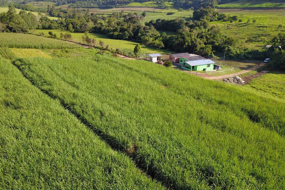 Novos projetos da Secretaria de Agricultura do Paraná deseja atender pequenos produtores de todo o estado. A proposta prevê investido em 2021, R$ 89 milhões oriundos de emendas parlamentares, captados no fim de 2020. Estimativa é beneficiar mais de 15.700