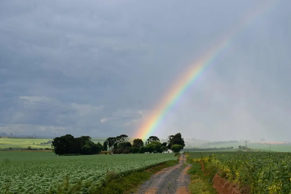 Novembro terá chuvas acima da média e gangorra nas temperaturas, prevê Simepar. Foto Toninho Anhaia