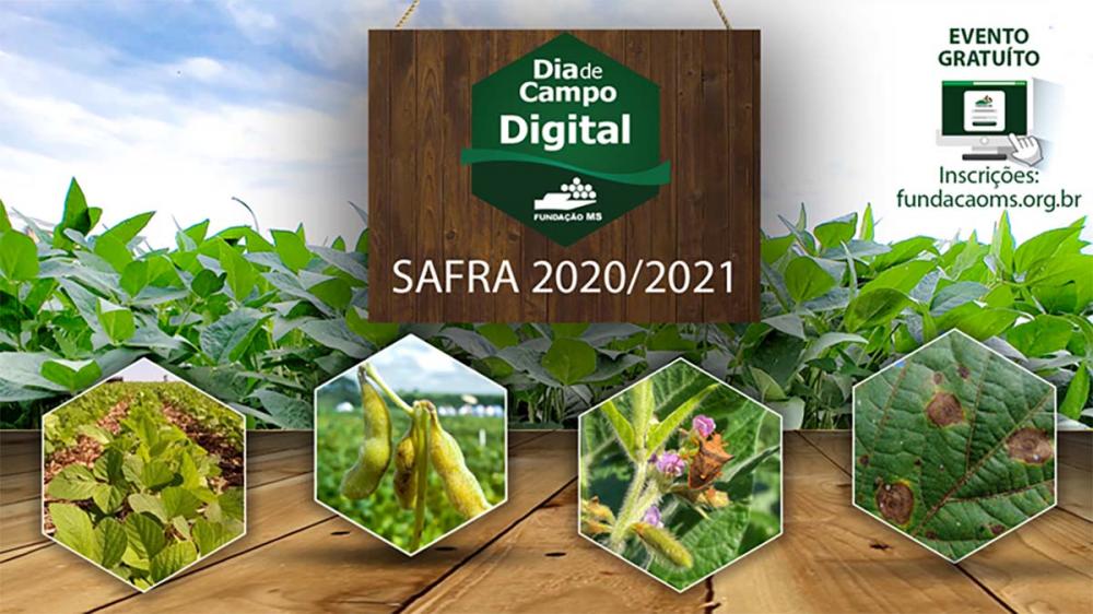 A programação contará com palestras gravadas nos campos experimentais da Fundação MS em ambientes de produção que englobam grande parte dos sistemas produtivos de soja no Brasil. 