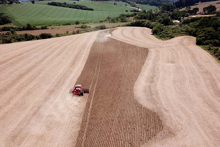 Em relação à safra 2019/20, a área plantada cresceu 4%, chegando a 38,4 milhões de hectares. É um crescimento de 1,47 milhão de hectares – quase equivalente ao que se cultiva num estado como a Bahia. O segundo ponto é a produtividade brasileira, que dever