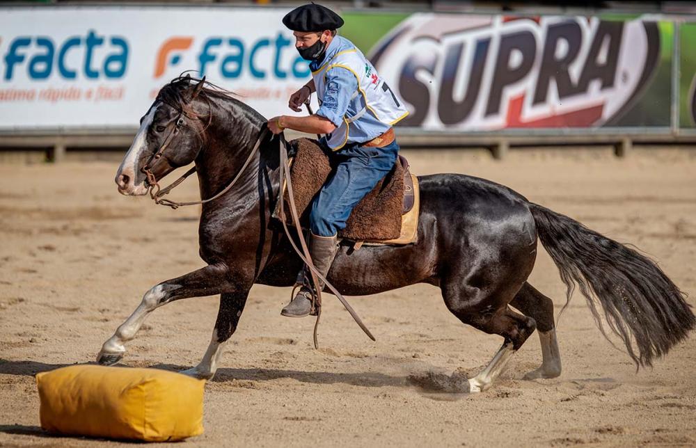 A Associação Brasileira de Criadores de Cavalos Crioulos (ABCCC) ajustou a agenda das seletivas. Foto Felipe Ulbrich/Divulgação.