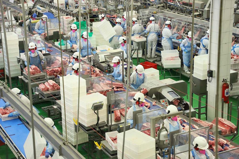 Os setores que mais se destacaram no acumulado do ano de 2020 foram indústria de transformação (25.880), seguido de construção civil (14.855), comércio (7.967), agricultura (1.657) e serviços (629). 