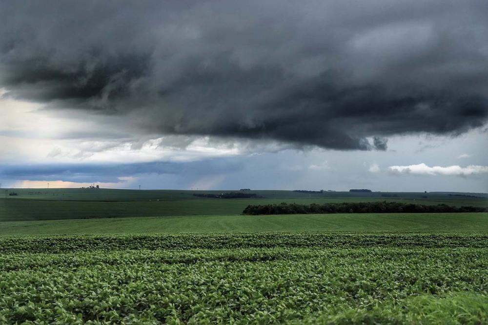A segunda safra de feijão está sendo atípica por causa das chuvas que estão atrapalhando o plantio. Por conta dessas incertezas do clima neste início de ano, o mercado também está indefinido. Foto AEN.