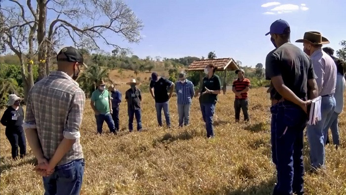 Em uma carga horária de 24 horas, os alunos aprendem sobre os tipos de gramíneas adequadas para a região, processo de degradação, recuperação ou renovação de pastagens, amostras, correção e adubação do solo, métodos de pastejo, forragem de pastagens, seca