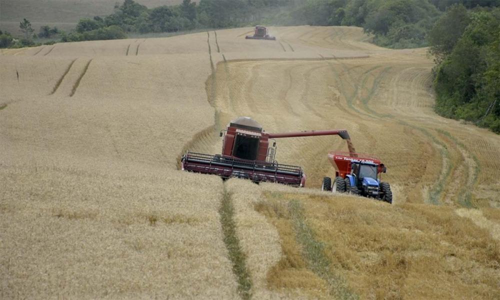 O crédito rural ajuda o Brasil a crescer de maneira sustentável. 