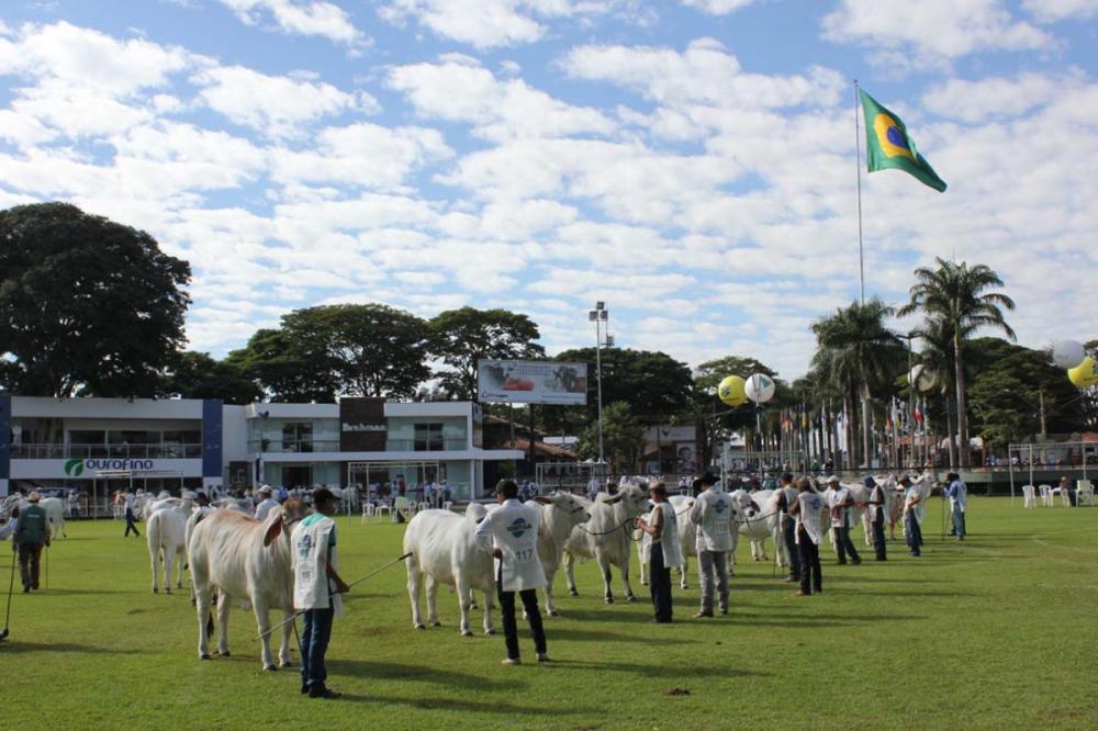 As inscrições de animais já estão abertas e vão até o dia 23 de abril. A 86ª ExpoZebu será realizada no Parque Fernando Costa, em Uberaba/MG.