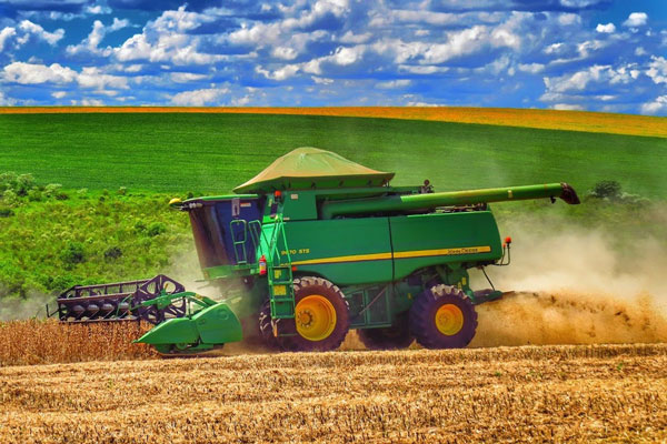 Levantamento do Cepea mostra que o ritmo de negociações da safra atual está relativamente maior que o registrado na temporada passada, influenciado pelos preços mais elevados no último trimestre de 2019 e pela maior atratividade dos contratos a termo para