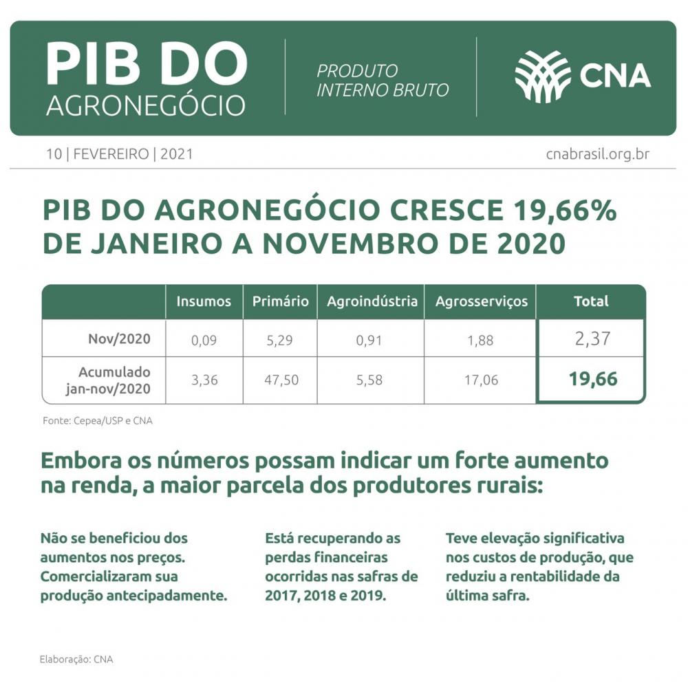 O PIB mensal do agronegócio geral cresceu 2,37% em novembro passado, com expansão para os segmentos primário (5,29%), agroindustrial (0,91%) e de agrosserviços (1,88%), e resultado estável para o segmento de insumos (0,09%), na comparação com novembro de 