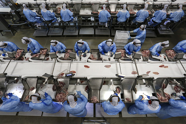 As Agências do Trabalhador de 15 municípios, disse ele, já estão atuando na colocação de trabalhadores em 679 vagas ofertadas pela C.Vale - Cooperativa Agroindustrial, em Palotina (Oeste) e região.