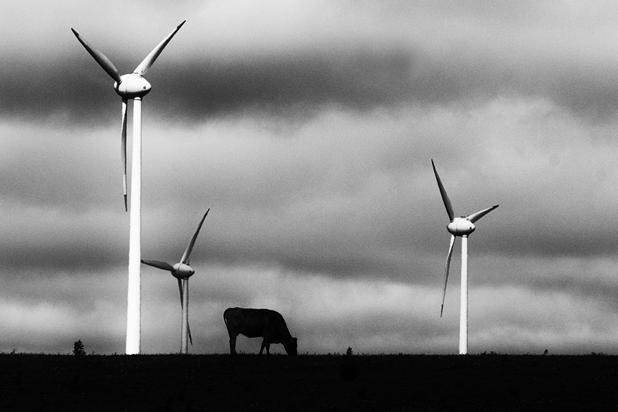 O fotógrafo Henry Milléo vencedor na categoria Profissionais Agrícola, no 8º Prêmio New Holland , optou por um criativo registro (acima) em preto e branco de uma bucólica paisagem rural.