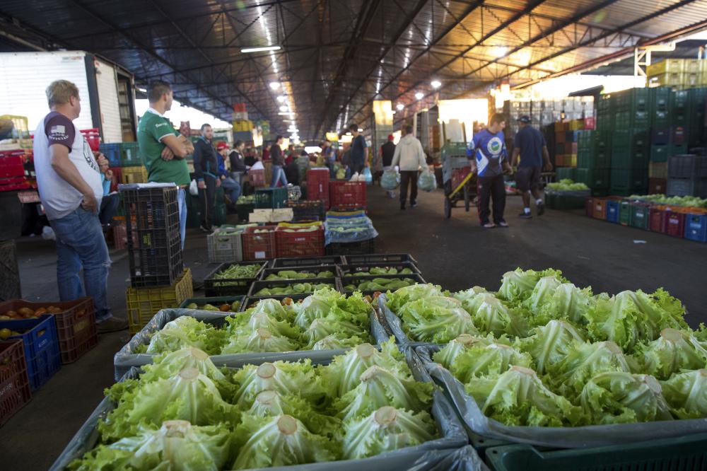 Entre as atividades do IDR-Paraná, o termo de cooperação prevê a assistência técnica de forma continuada aos agricultores familiares para a produção sustentável em olericultura e fruticultura.
