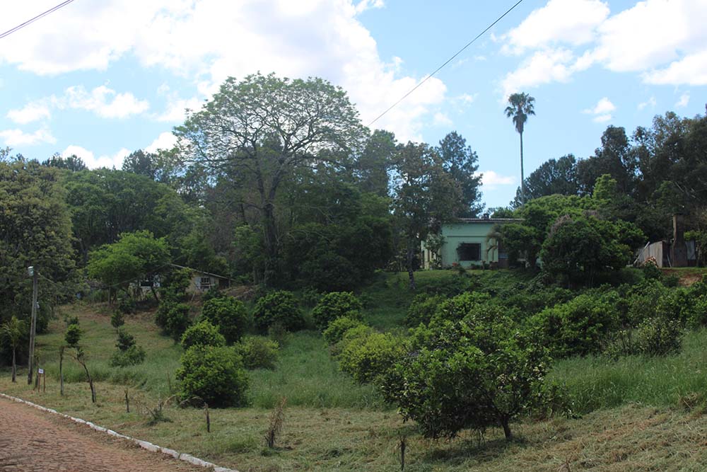  Para o advogado, questões fundamentais ainda pendem de regulamentação, tais como o detalhamento das fontes de recursos para a realização das atividades de preservação ambiental, assim como a definição dos critérios para a fixação dos valores a serem pago