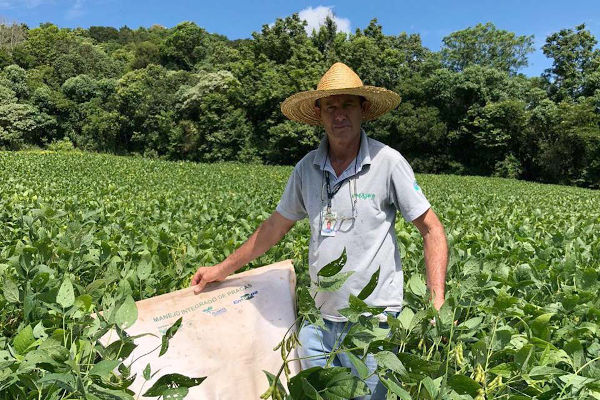 Há cinco anos o Manejo Integrado de Pragas (MIP) e o Manejo Integrado de Doenças (MID) fazem parte da rotina de um grupo de agricultores em Itapejara do Oeste.