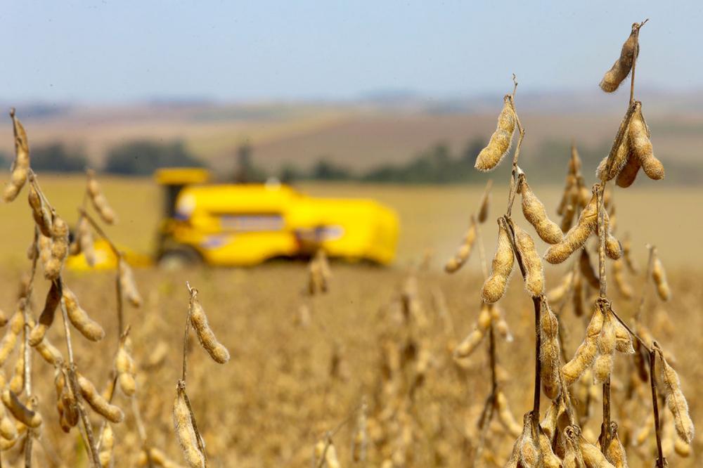 O VBP confirmou o potencial do agro no Paraná, revelando um faturamento total de R$ 98,08 bilhões em 2019, maior valor nominal da série.