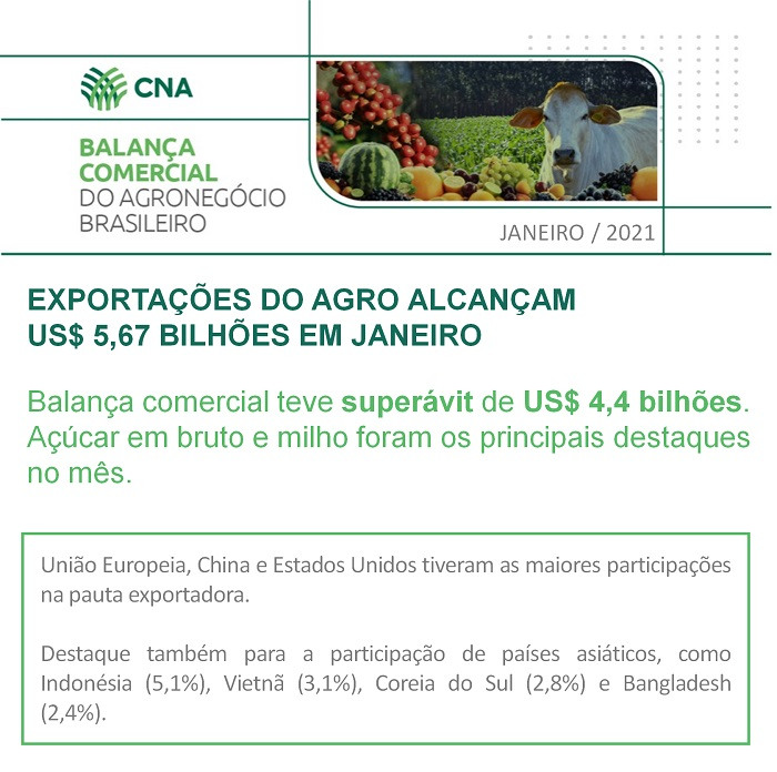 De acordo com análise da CNA, as exportações para a China, principal parceiro comercial do Brasil em 2020, caíram 36,2% em janeiro deste ano na comparação com igual período do ano passado, principalmente por conta da redução das vendas de soja.