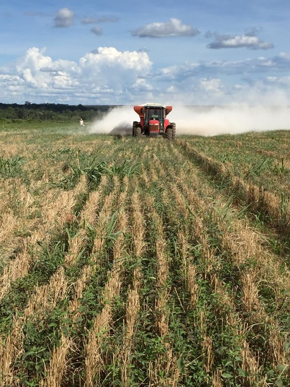 É fundamental para o produtor rural compreender os custos como investimentos que, em longo prazo, se converterão em lucratividade e maior performance do sistema agropecuário.