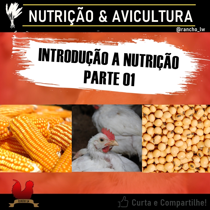 Introdução a nutrição de galinhas
