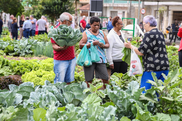 Somente em 2019, a Secretaria da Agricultura formalizou convênios com cinco municípios para a implantação de hortas, e outros 25 projetos estão em análise.