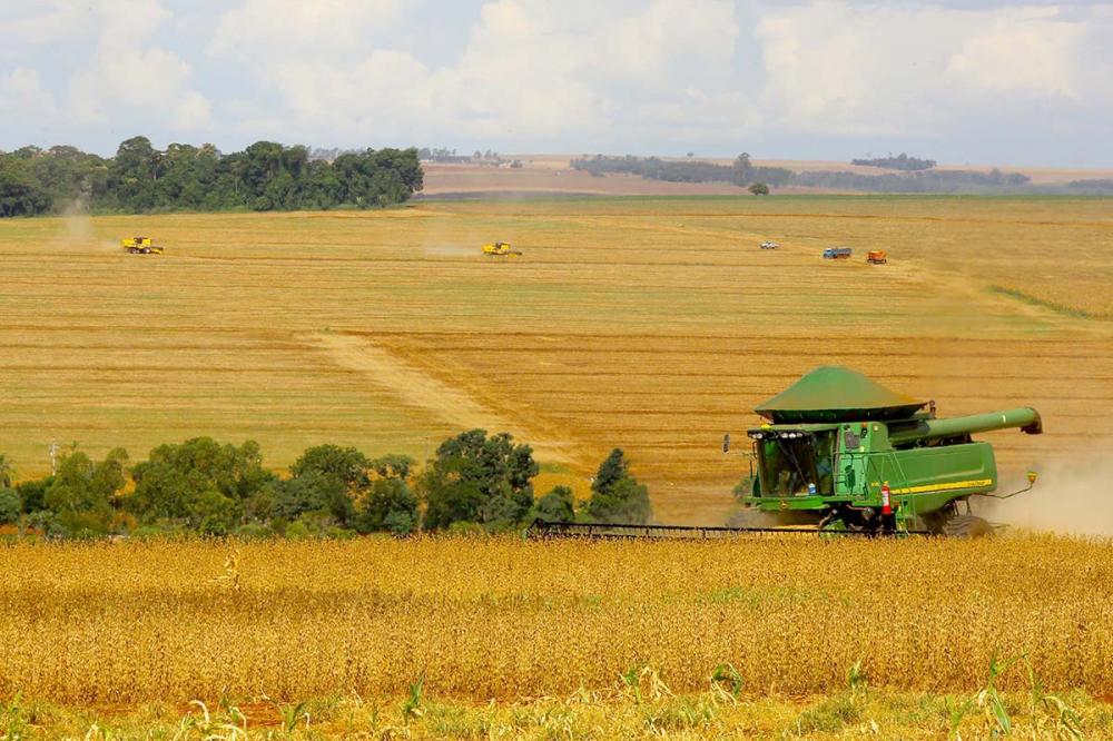 e houver melhora nas condições climáticas, a colheita do grão deve acelerar nas próximas semanas. Já a primeira safra de milho deve somar 3,2 milhões de toneladas, 7% a menos do que indicava a estimativa inicial. Foto AEN.