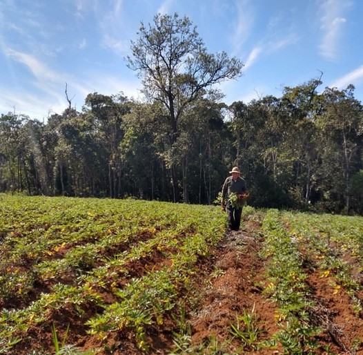 Cooperativas transformam a vida de pequenos produtores rurais.