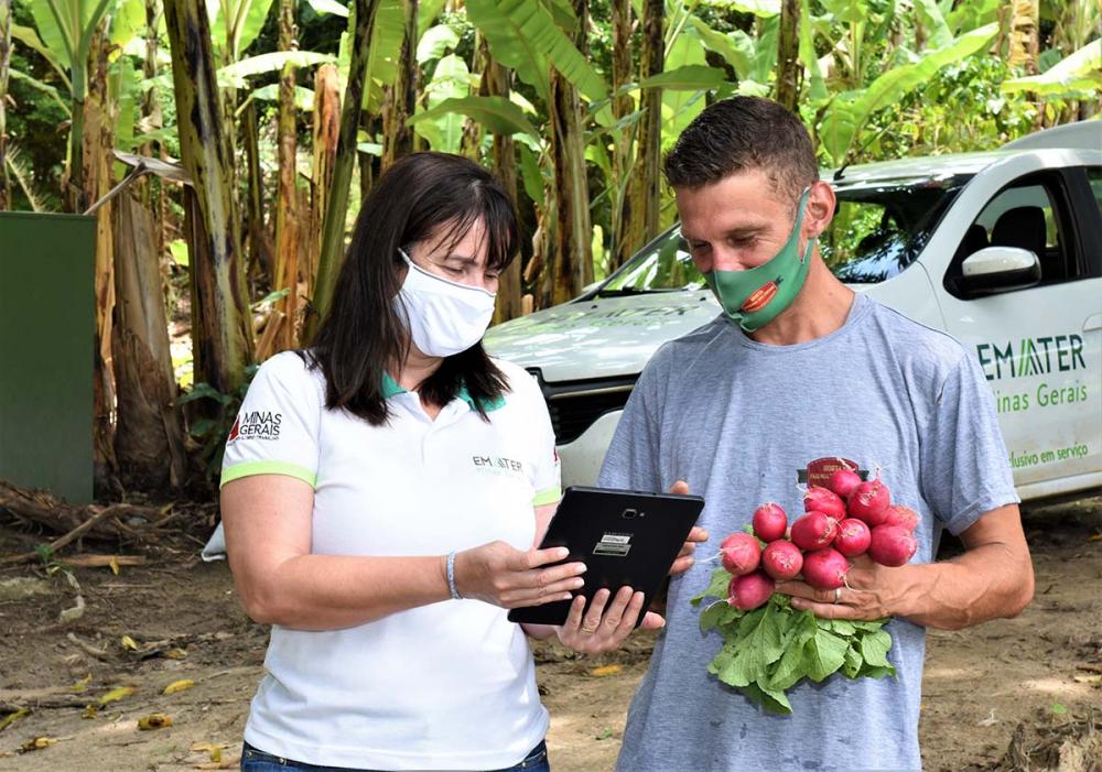 Um dos produtores atendidos por Carlos Alberto é Márcio Willian Cesári, que tem uma pequena propriedade onde cria, junto com a esposa, gado da raça Jersey, para a produção de leite, além de aves de postura. Foto Divulgação