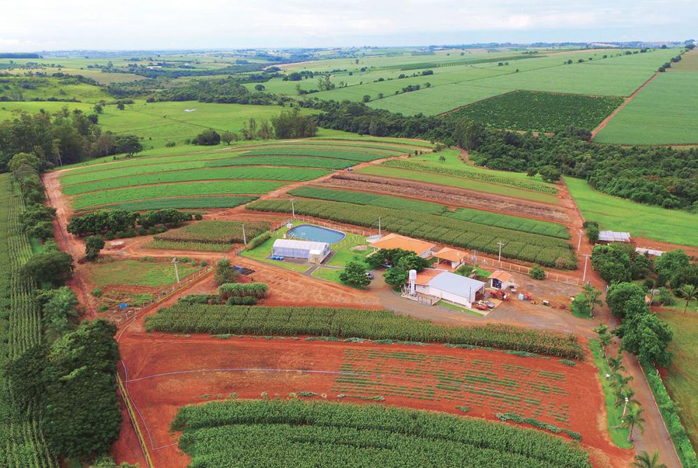Atualmente, a Rotam possui uma infraestrutura robusta e tecnológica não só no território brasileiro, com fábricas, estações experimentais, laboratórios e escritórios modernos e capacitados profissionalmente em diversas localidades no mundo.