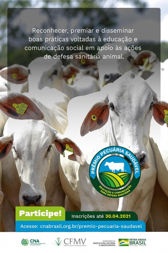 Os critérios de avaliação serão: relevância, aplicabilidade, inovação, qualidade e resultados. Serão premiados, por categoria, os três melhores programas, projetos ou ações, assim como os atores (um para cada categoria) que se destacaram na concepção, imp
