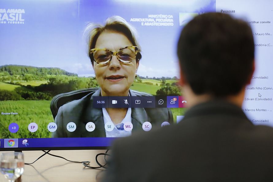 O Paraná deve produzir neste ano 950 mil toneladas de suínos, se aproximando cada vez mais de Santa Catarina, maior produtor do País. Fotos: Jonathan Campos/AEN.