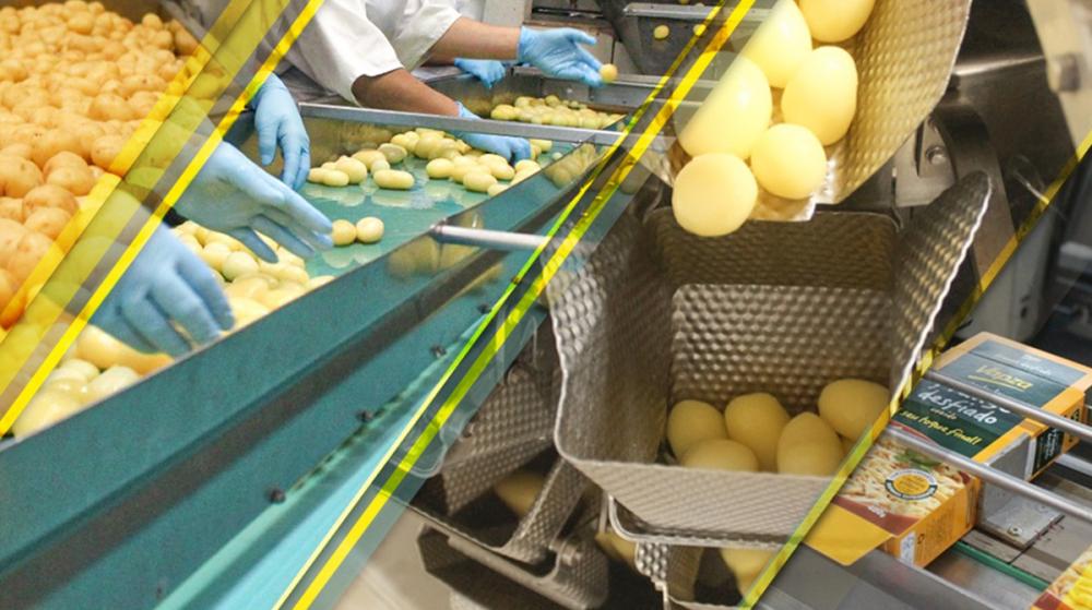 A Vapza Alimentos foi criada em 1994, em Castro, e hoje possui cerca de 400 funcionários Divulgação