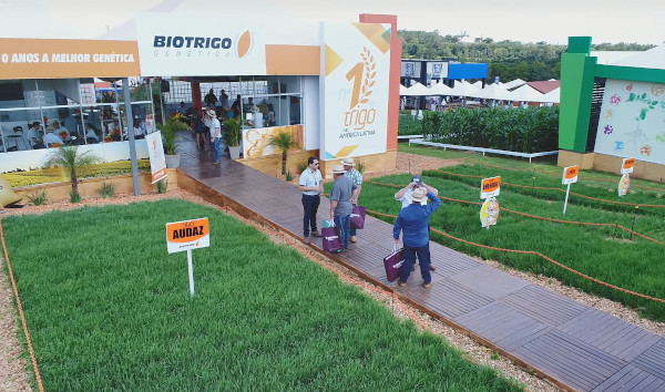 Durante o Show Rural 2020 público pode participar do concurso para a escolha do nome de uma nova linhagem que será lançada como cultivar TBIO nas próximas safras. 