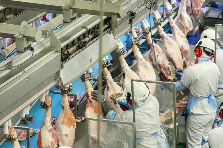 Paraná ampliou a produção e o protagonismo na cadeia de carnes em 2020. Fotos:Jose Fernando Ogura/AEN