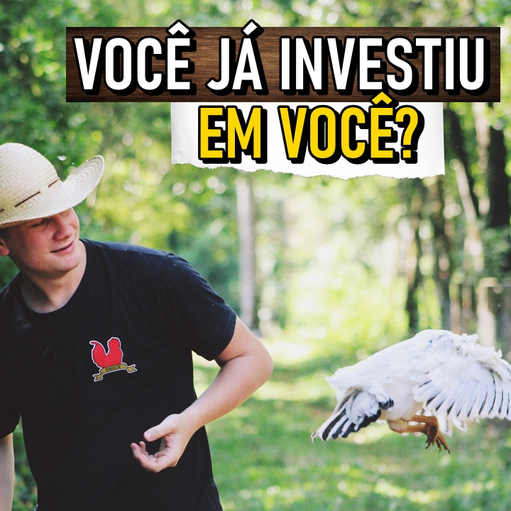 Invista em você