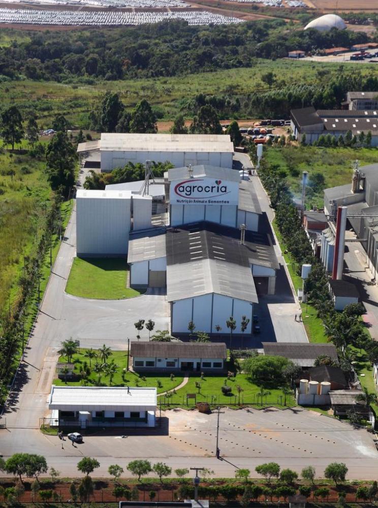A planta localizada em Anápolis (GO), onde também são processadas as sementes de pastagem, tem capacidade produtiva de 60 mil toneladas por ano e a unidade baseada na capital mato-grossense chega a 30 mil toneladas/ano.