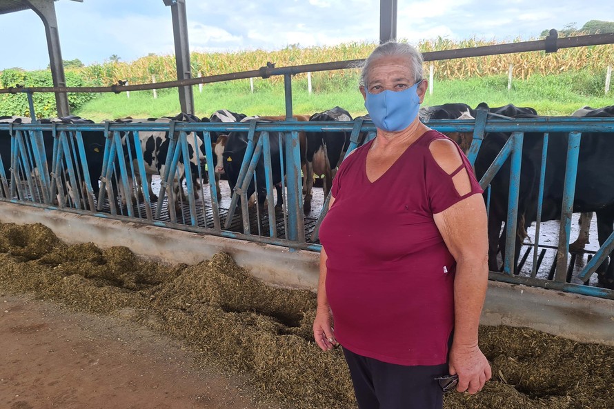 Parceria entre Sanepar e Frísia protege mananciais e beneficia produtores. - Dona Sueli relata que nos 50 anos de atividade de bovinocultura, sempre procura implementar as melhorias que vão surgindo - Foto: Divulgação Sanepar