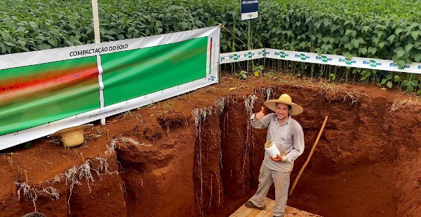 Foi aberta uma trincheira de aproximadamente 1,5 metro de profundidade em que será possível visualizar as características e o comportamento das raízes de soja em solo compacto e outro sem compactação .