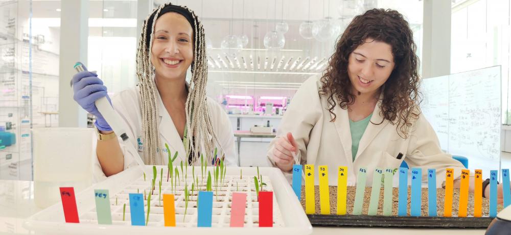 Em relação à equipe, a Kimitec investe na contratação de profissionais, com larga experiência no mercado agrícola brasileiro, para atuar nas áreas comercial, técnica e agronômica.