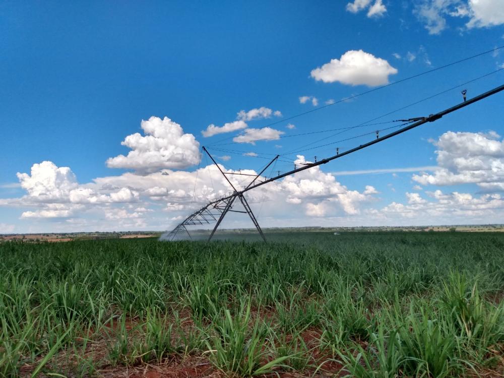 Com mais de 60 mil hectares de área plantada, a usina processa 4,1 milhões de toneladas por ano, algo em torno de 20 mil toneladas por dia. 