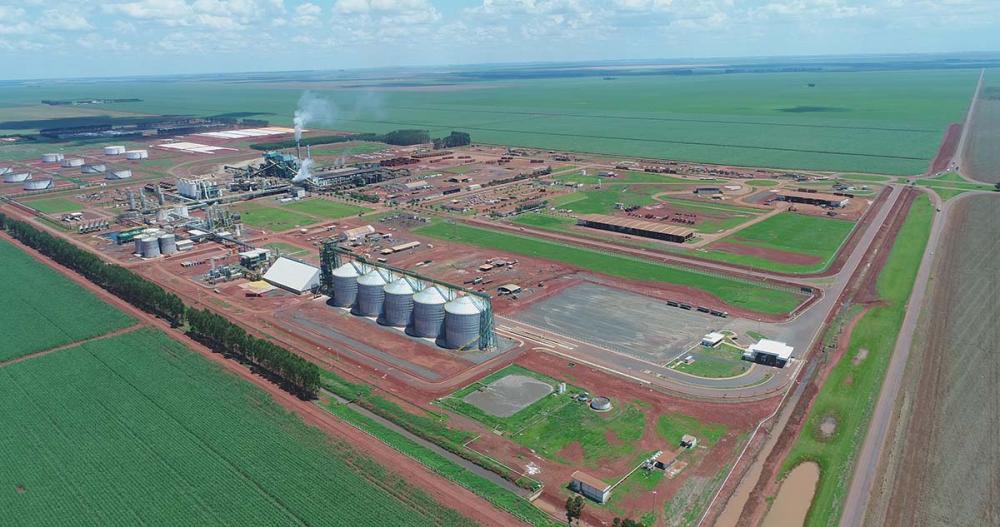 Para a próxima safra, 21/22, a Companhia espera moer 5,8 milhões de toneladas de cana, um aumento de 16%, e outras 530 mil toneladas de milhos, também um aumento de 16%. Fotos divulgação