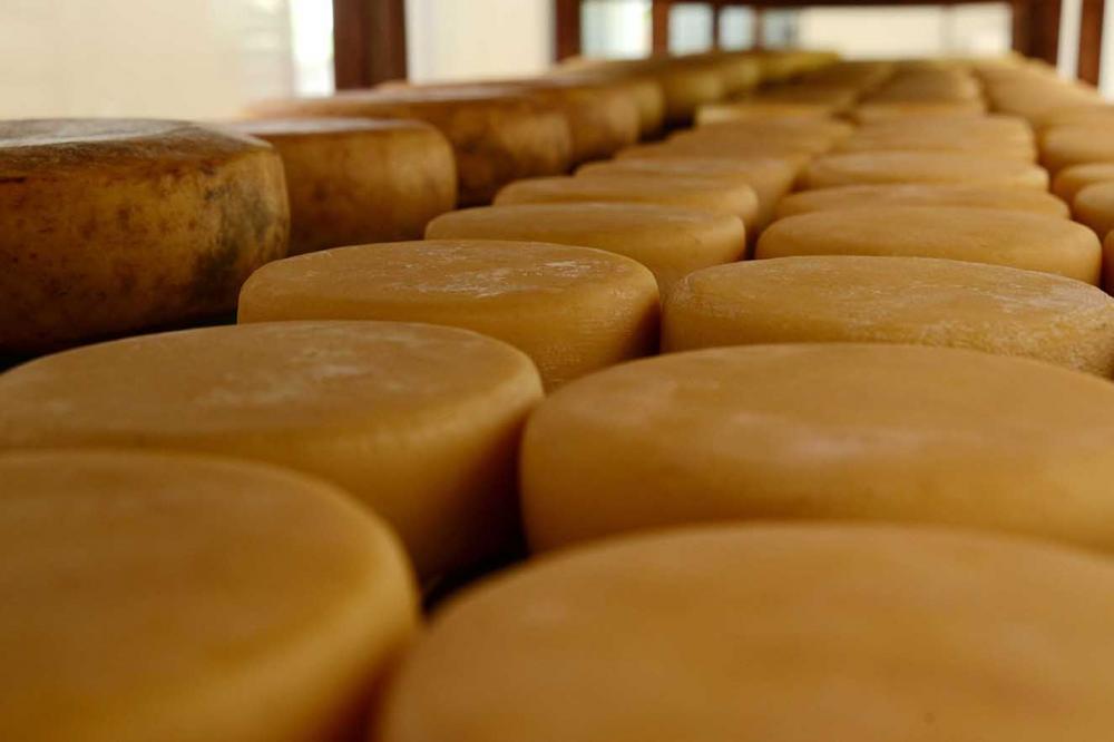 O presidente da Associação dos Produtores de Queijo Artesanal da Serra da Mantiqueira, Luiz Antônio Guimarães, disse que o reconhecimento por parte dos órgãos públicos é uma vitória para o setor.