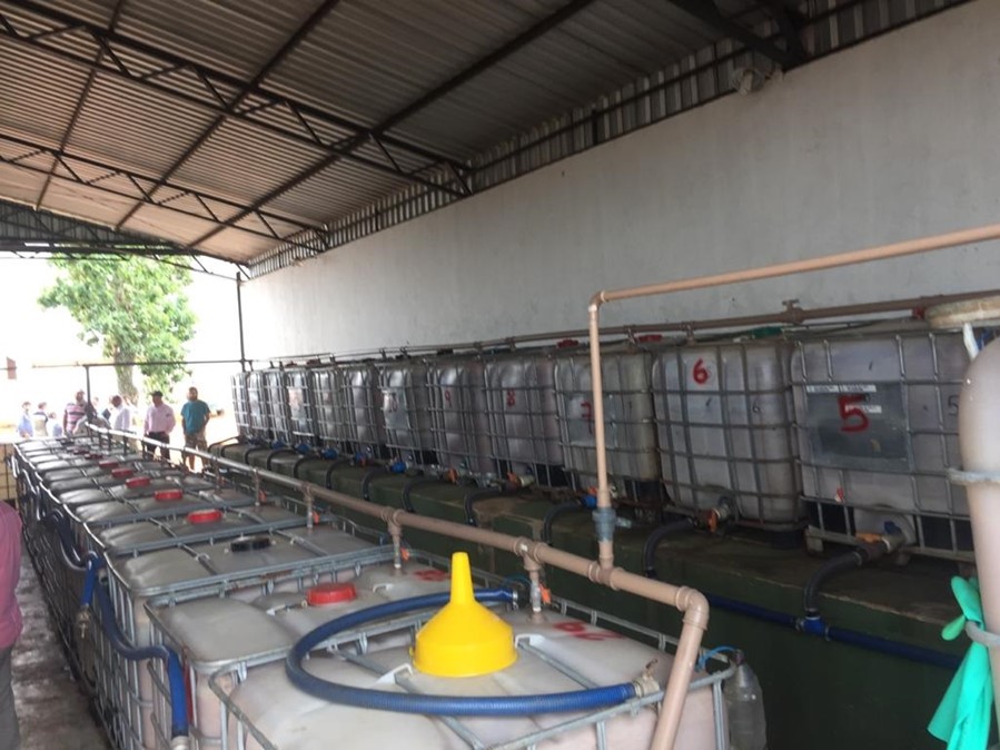 Grupo Técnico de Trabalho de Orgânicos da Secretaria de Agricultura de São Paulo, participou do 6º Encontro de Agricultura Sustentável – Produzir e Conservar. Foto da Fábrica de bioinsumos em Goiás