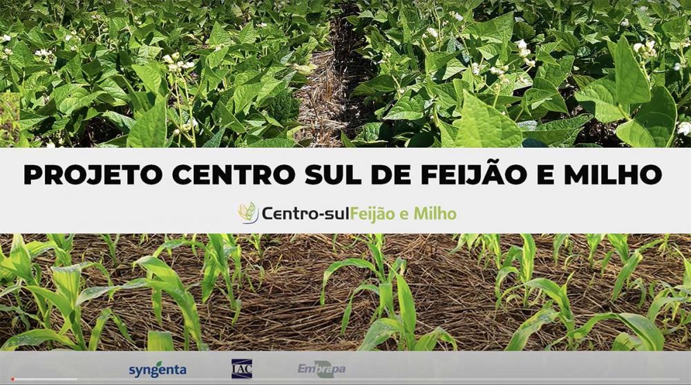 A edição de 2021 do Centro Sul Feijão e Milho na versão digital registrou números expressivos de acesso.