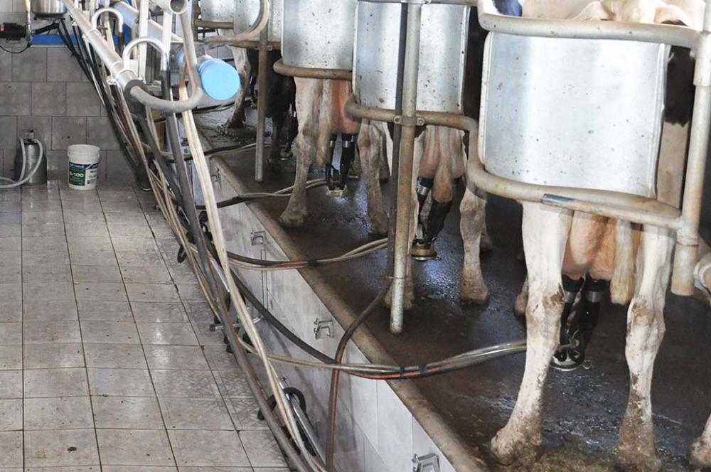 As despesas, que envolvem indenizações de produtores e investimentos na sanidade animal do estado, alcançaram R$ 1,87 milhão no período.