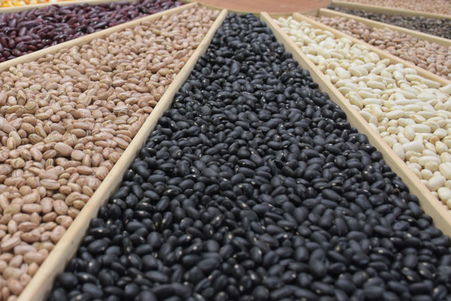 Segundo informativo do Governo do Paraná a Primeira Safra de Feijão das águas tem 87% da área colhida e surpreende positivamente. Mesmo atingindo uma redução de área de 6%, o produtor conseguiu 59 mil toneladas a mais do que ano passado.