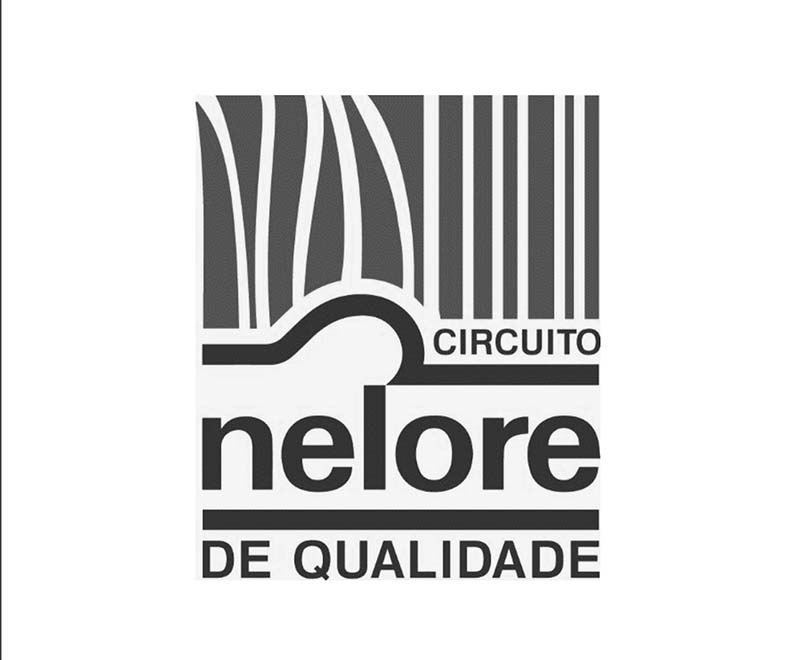 O regulamento pode ser acessado na íntegra no site da ACNB