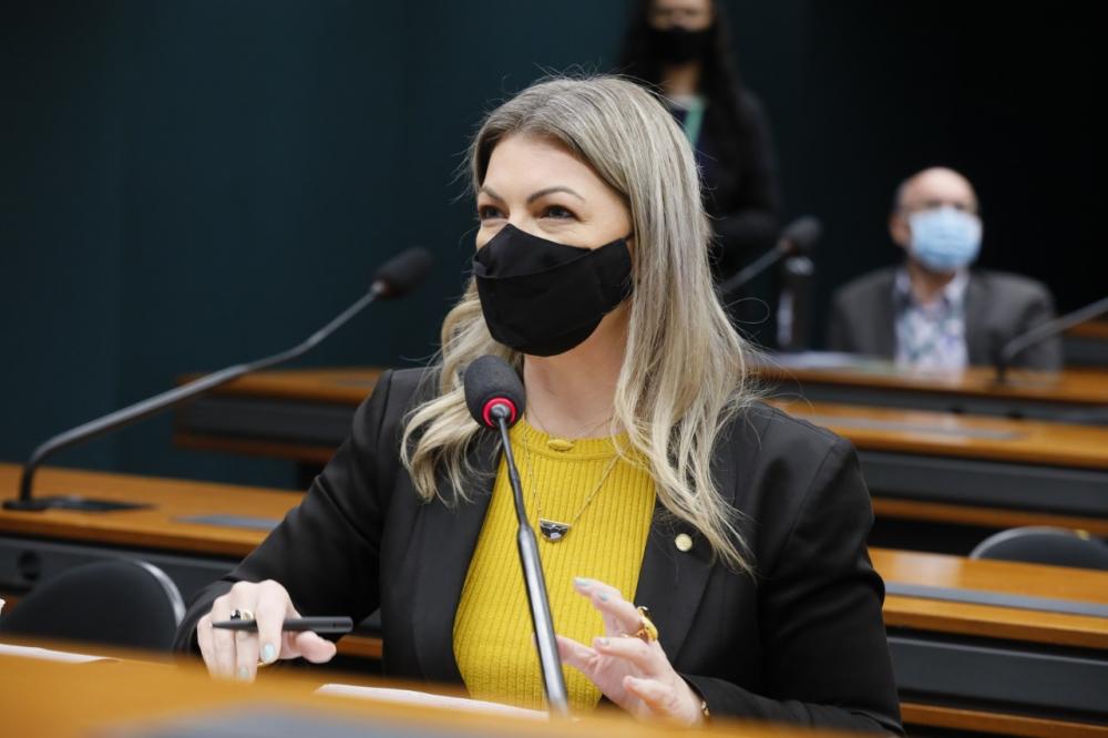 A parlamentar ainda destacou que esse tema do aumento do ICMS nos fertilizantes precisa ser tratado em parceria com as instituições do setor e os Ministérios de Minas e Energia, Agricultura, Economia, Ciência e Tecnologia e Meio Ambiente.Foto: LIDPSL
