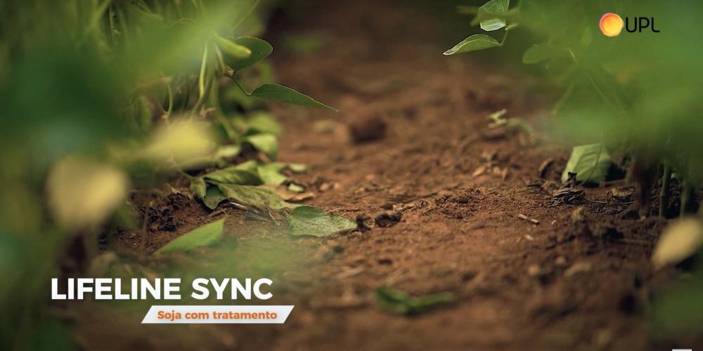 O Lifeline-Sync é um herbicida com ação sistêmica e residual, recomendado para o pré-plantio da soja, do milho e do algodão, bem como para a pós-emergência inicial das plantas infestantes.