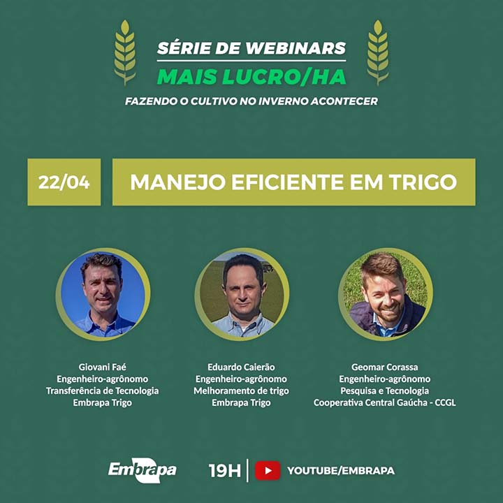 A proposta da Embrapa Trigo com a realização deste trabalho visa aumentar a geração de renda com os cultivos de inverno.
