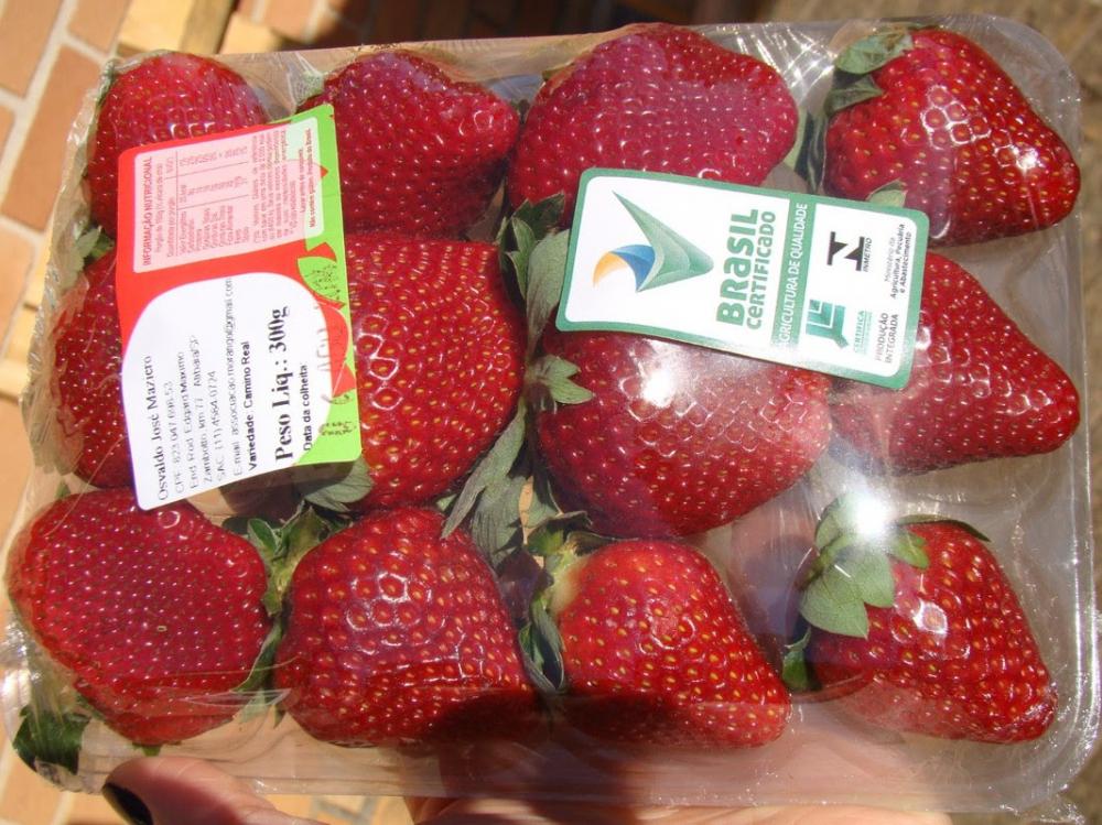 Trata-se de um protocolo de produção que prioriza as boas práticas agrícolas e de manuseio dos produtos, com rastreabilidade e respeito ao ambiente, ao trabalhador rural e aos consumidores.