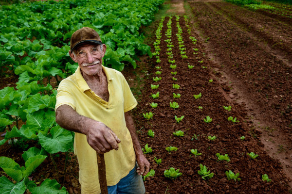 O destaque da companhia na feira é o Supergan, que combina matéria orgânica com doses de macro e micronutrientes balanceadas.
